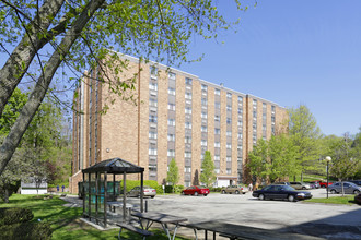 Douglas Plaza in Pittsburgh, PA - Building Photo - Building Photo