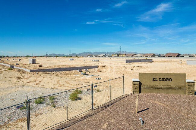 El Cidro in Goodyear, AZ - Foto de edificio - Building Photo