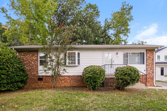 803 Da Vinci St in Durham, NC - Foto de edificio - Building Photo