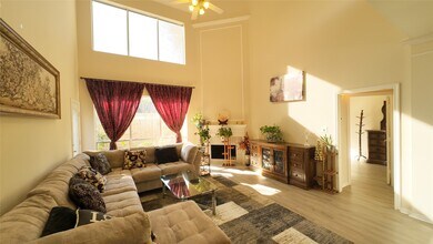 4111 Creek Ridge Ln in Missouri City, TX - Building Photo - Building Photo