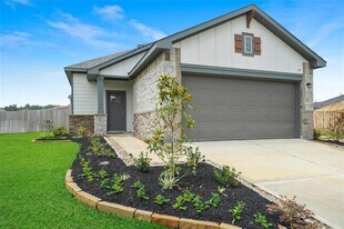 25575 Blossom Ct in Montgomery, TX - Building Photo