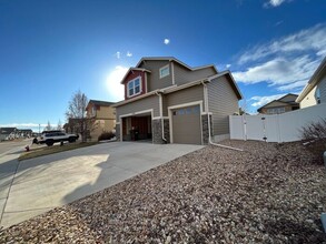 5562 Clarence Dr in Windsor, CO - Building Photo - Building Photo