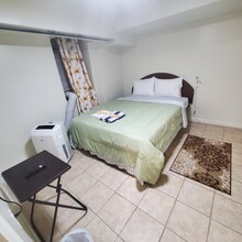 524 Timpson Pl in Bronx, NY - Foto de edificio - Building Photo