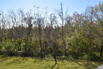 316 Southern Pecan Cir in Winter Garden, FL - Building Photo - Building Photo