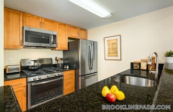 10 Gerry Rd in Brookline, MA - Building Photo - Building Photo