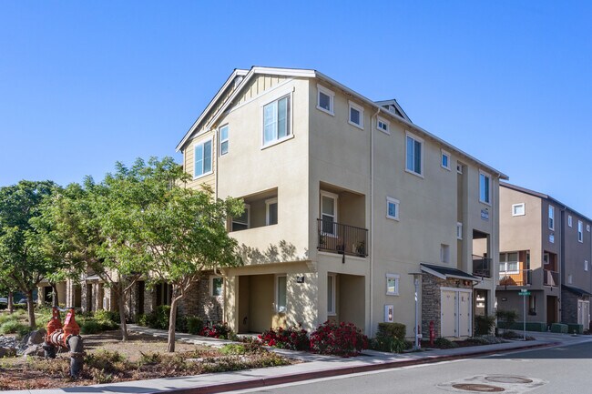 Coyote Creek in Milpitas, CA - Foto de edificio - Building Photo