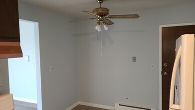1319 Baldwin Ct in Palatine, IL - Building Photo - Building Photo