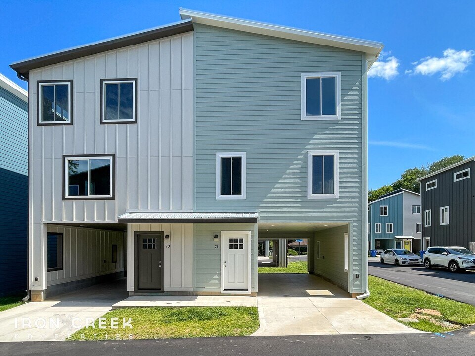 71 E Cascade St in Asheville, NC - Building Photo
