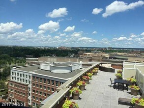 2050 Jamieson Ave, Unit 1509 in Alexandria, VA - Foto de edificio - Building Photo