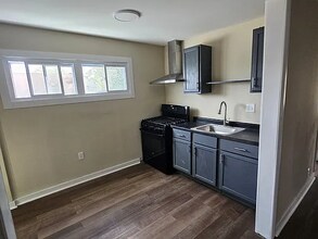424 E 149th St in Cleveland, OH - Building Photo - Building Photo