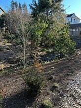 520 Olympic Ave in Edmonds, WA - Building Photo - Building Photo