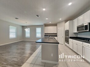 13213 Lake Yale View Loop in Grand Island, FL - Building Photo - Building Photo