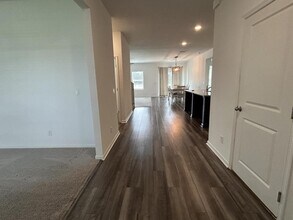 35675 Buttonweed Trl in Zephyrhills, FL - Building Photo - Building Photo