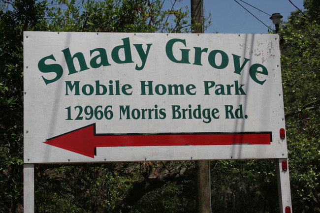 Shady Grove Mobile Home Park in Thonotosassa, FL - Foto de edificio - Building Photo