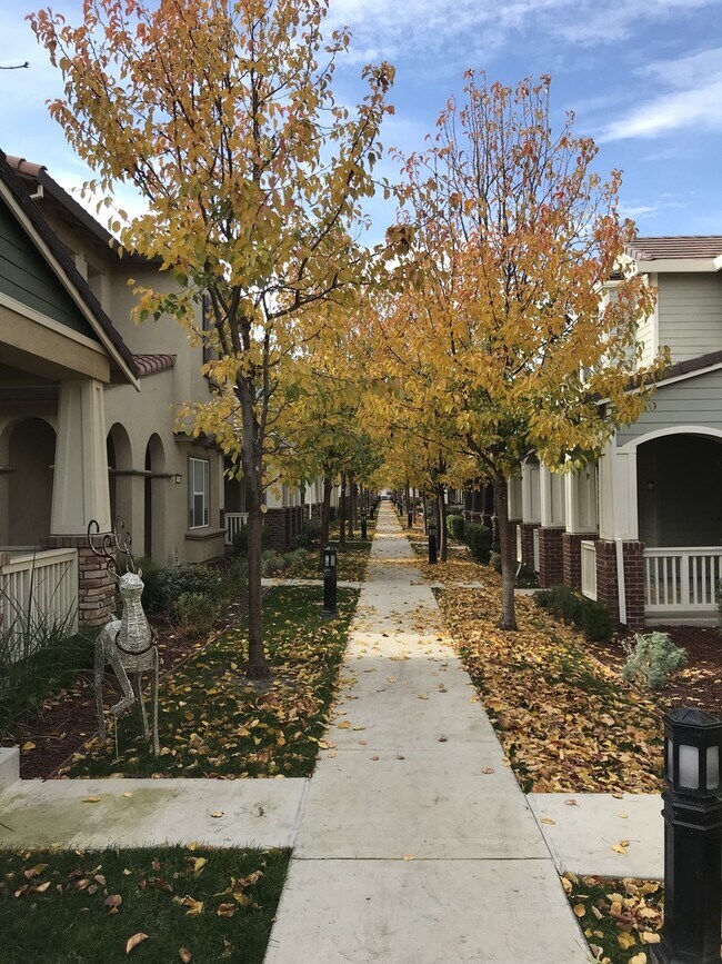 307 W Tuscan Ln in Mountain House, CA - Building Photo - Building Photo