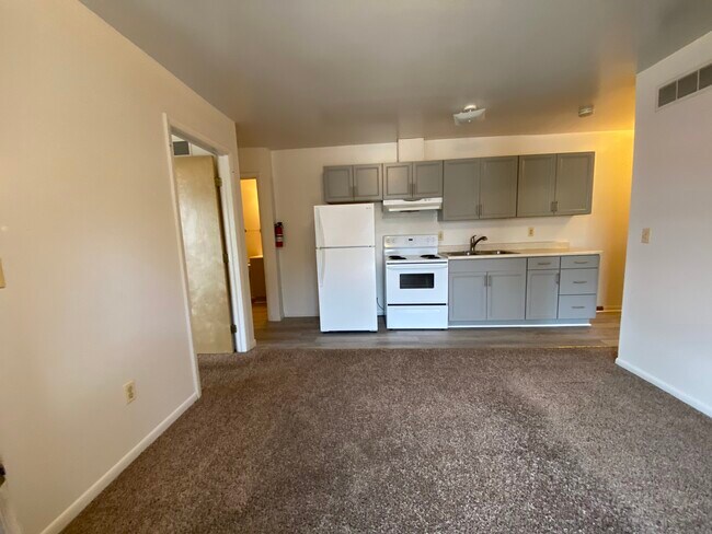 315 N Washington St in Ypsilanti, MI - Building Photo - Building Photo