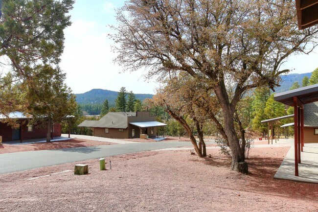 3462 N Old County Rd in Pine, AZ - Foto de edificio - Building Photo