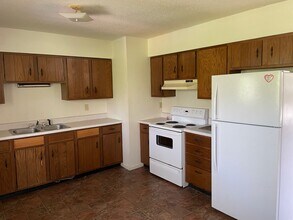 406 W Chestnut St in Carbondale, IL - Building Photo - Building Photo