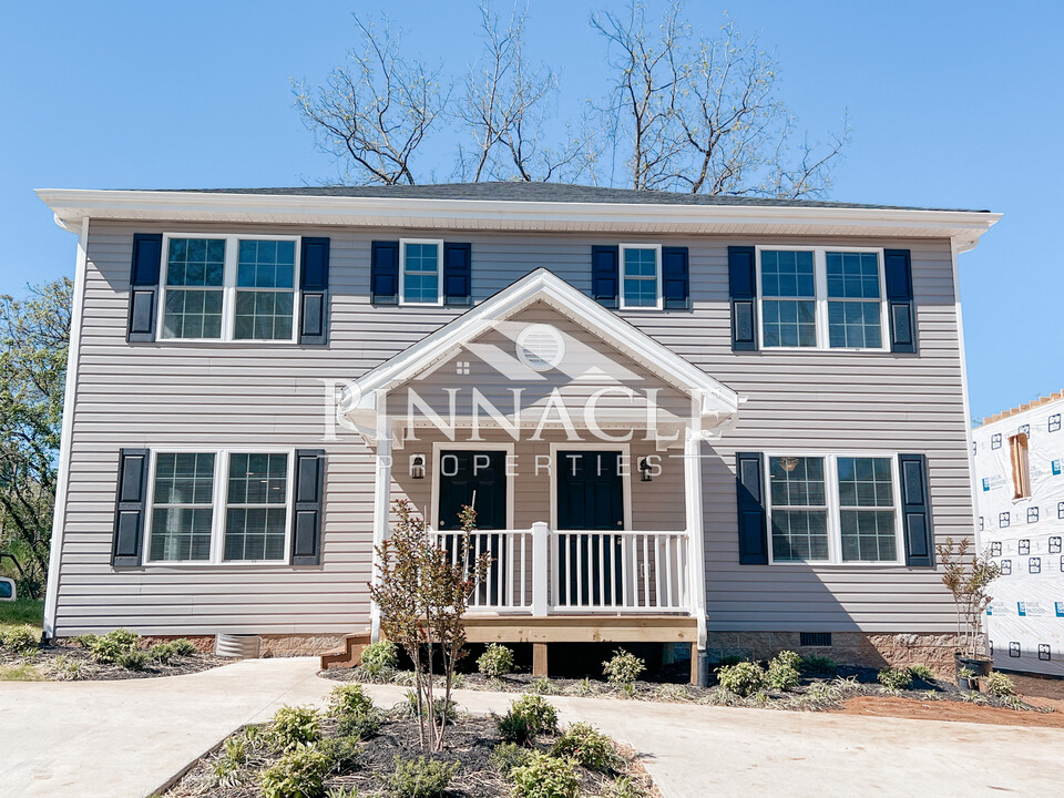 217 Munford St in Lynchburg, VA - Building Photo