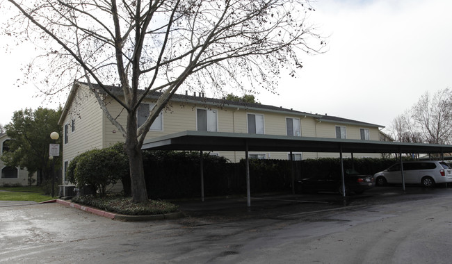 Cadillac Flats Apartments in Napa, CA - Building Photo - Building Photo