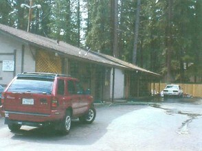 Alpine Apartments in South Lake Tahoe, CA - Building Photo - Building Photo