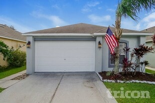 30602 Birdhouse Dr in Wesley Chapel, FL - Building Photo