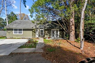 1127 Snap Dragon Ct in Mount Pleasant, SC - Building Photo