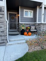 5383 Homeward Dr in Timnath, CO - Building Photo