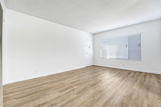 1314 Euclid St in Santa Monica, CA - Building Photo - Building Photo