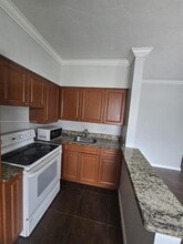 521 NE 82nd Terrace in Miami, FL - Building Photo - Building Photo