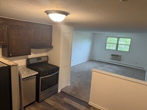 349 Hildreth St in Lowell, MA - Building Photo - Building Photo