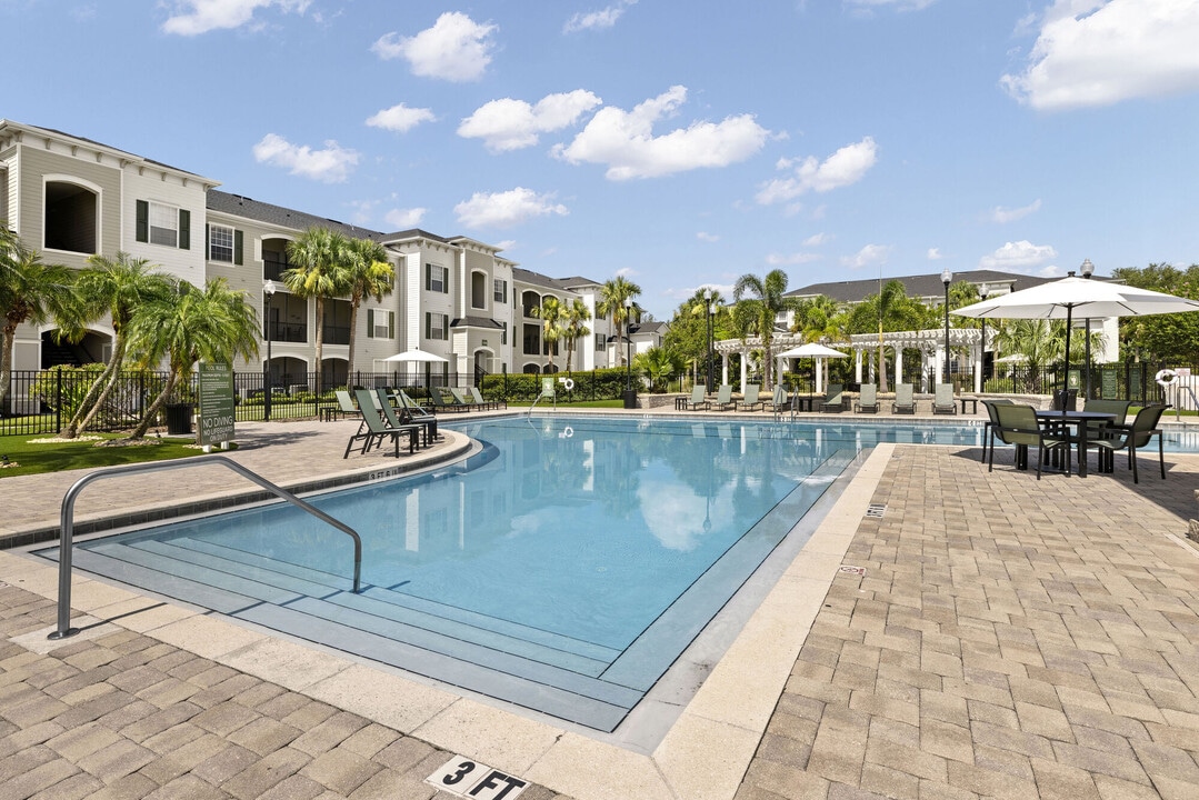 The Griffin in Brandon, FL - Building Photo