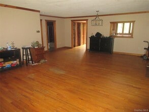 268 Amber Lake Rd in Livingston Manor, NY - Building Photo - Building Photo