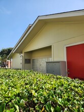 Driftwood Apartments - Galveston in Galveston, TX - Foto de edificio - Building Photo