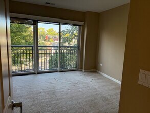 255 E Liberty Dr in Wheaton, IL - Building Photo - Building Photo