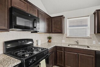 425 Spiny Lizard Ln in San Marcos, TX - Building Photo - Building Photo