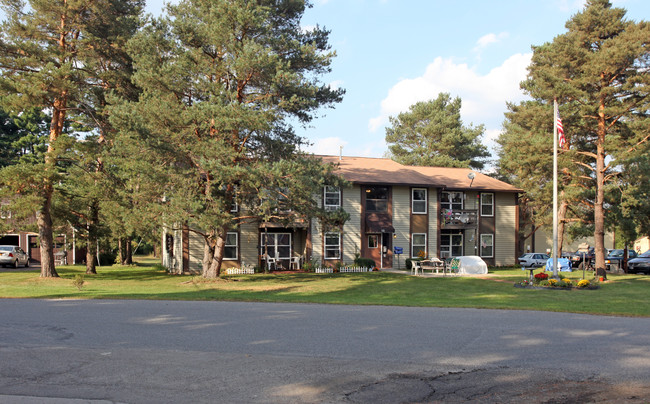 Community Village Apartments in Springville, NY - Foto de edificio - Building Photo