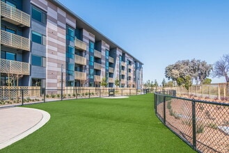 Mylo Santa Clara in Santa Clara, CA - Building Photo - Building Photo