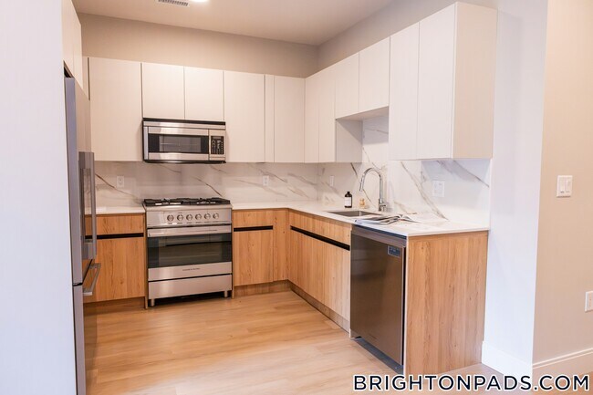 249 Corey Rd in Boston, MA - Foto de edificio - Building Photo
