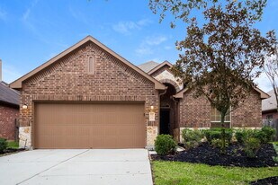 123 Pike Mill Pl in Montgomery, TX - Building Photo