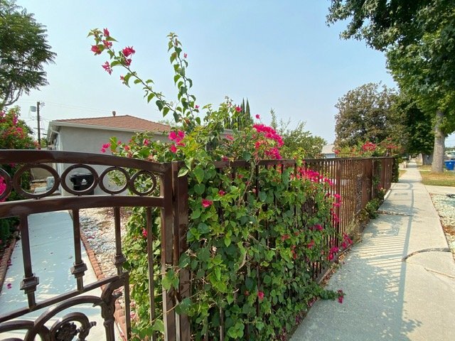 property at 6657 Enfield Ave