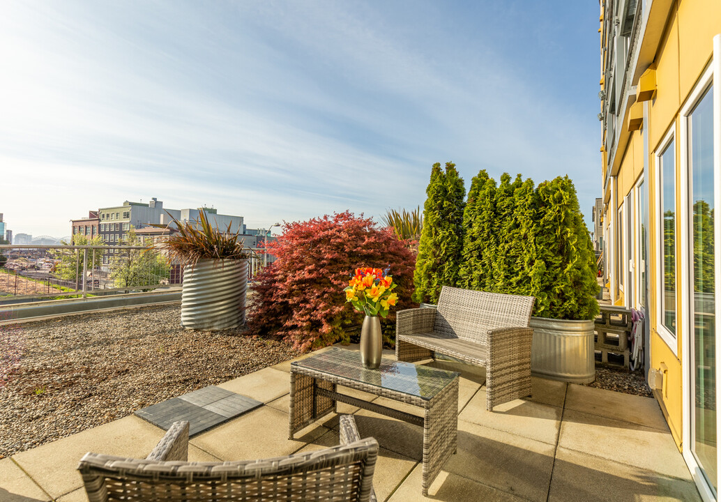 2440 Western Ave, Unit 414 in Seattle, WA - Building Photo