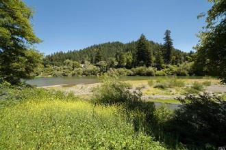 18125-18147 Hwy 116 in Guerneville, CA - Building Photo - Building Photo