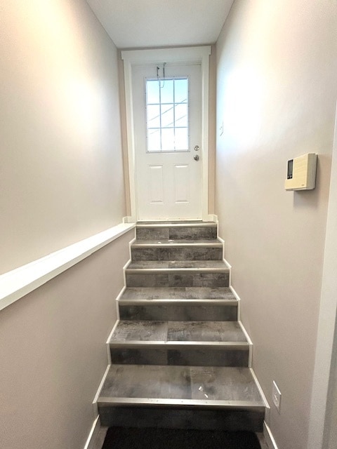 168 Ladysmith Dr in St John's, NL - Building Photo - Building Photo