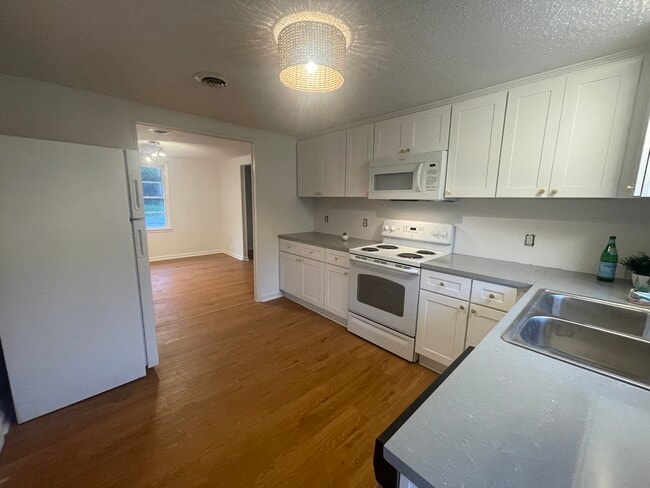 1001 Moreland Dr in Watkinsville, GA - Building Photo - Building Photo