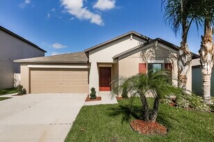 10114 Rose Petal Pl in Riverview, FL - Building Photo