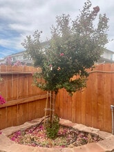 3213 Showcase Way in Modesto, CA - Foto de edificio - Building Photo