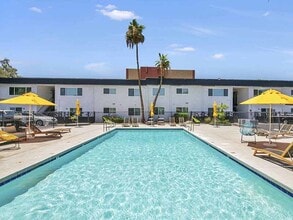 Luna Bear 454 West Brown Apartments in Mesa, AZ - Building Photo - Building Photo