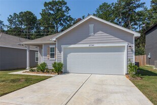 25344 Brushby Crk Dr in Magnolia, TX - Building Photo