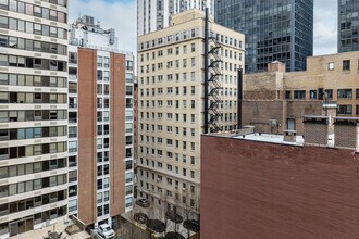 233 E Walton Pl in Chicago, IL - Building Photo - Building Photo